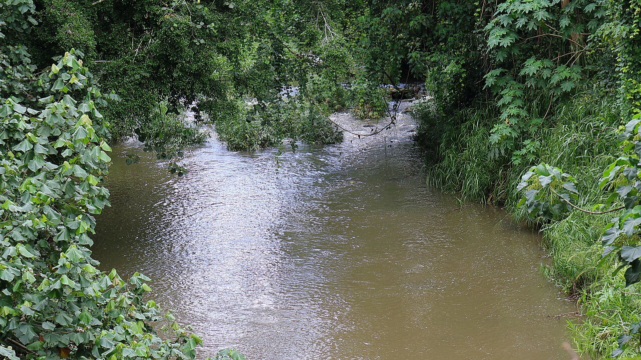 Huleia Stream near Lihue