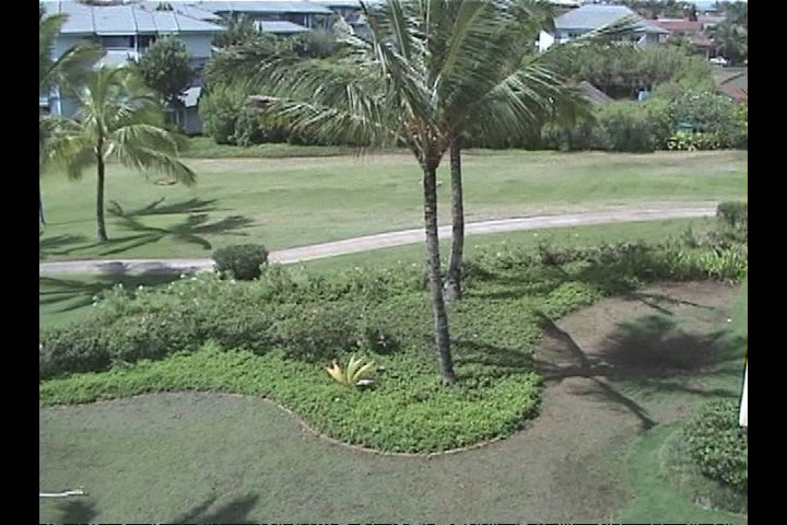Gardens at Grand Hyatt Kauai, home of Anara Spa